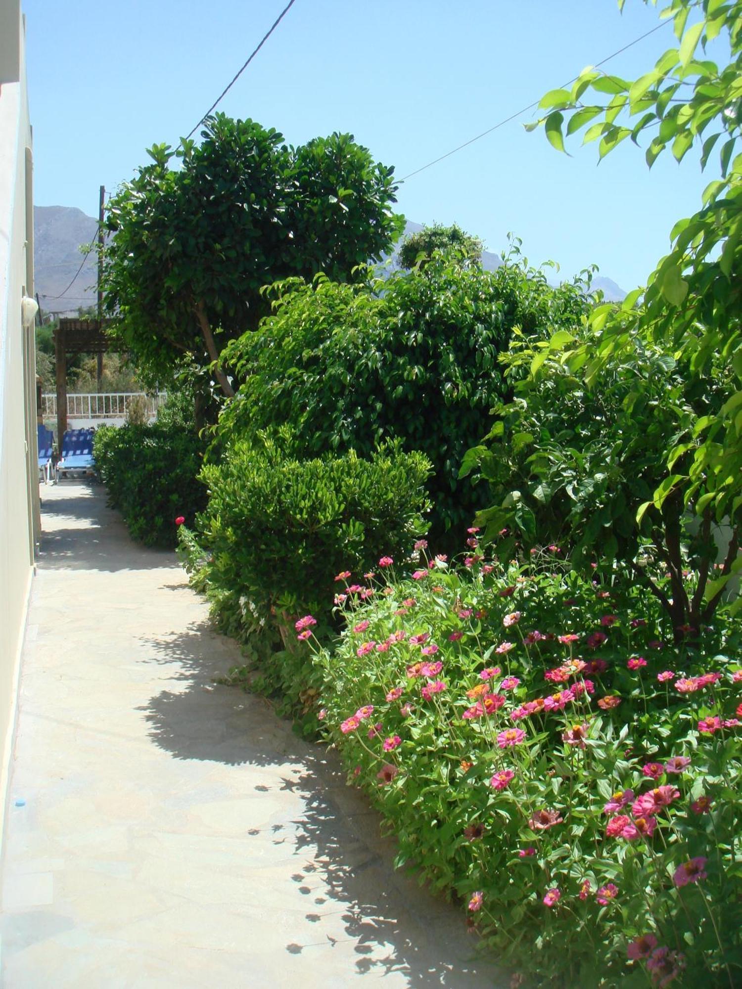 To Livadi Apartment Lefkogeia Ngoại thất bức ảnh